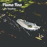 plumas finas parker y waterman  Pluma Fina
