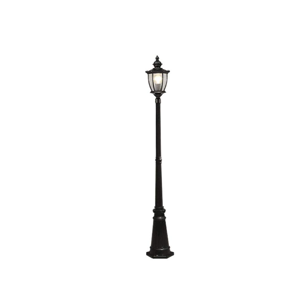 QUSYZD Lamp Post Lights Outdoor, Creative Outdoor Lawn Light Waterproof European Garden Light Villa Landscape Grass Light High Pole Garden Community Light Aluminum Glass E27,Black-170cm