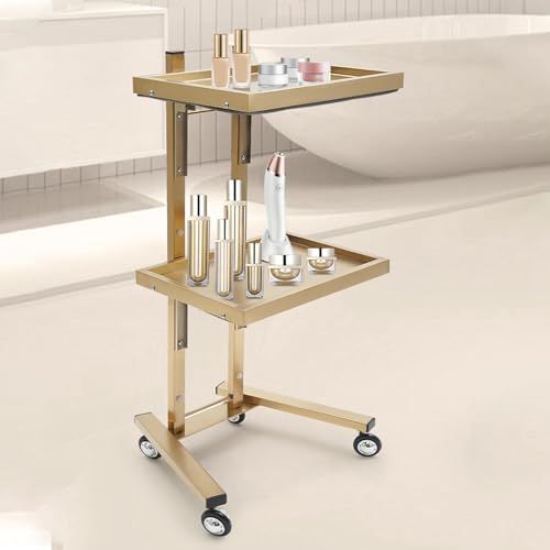2 Tier Metal Rolling Cart, Stainless Steel Salon Tray with Wheels, Foldable Utility Carts, Gold Folding Salon Tray Trolley for Tattoo