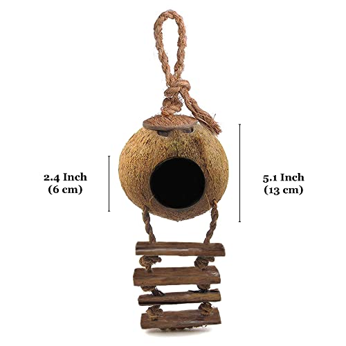 SunGrow Hermit Crab Coco Hut with Ladder, Cave Habitat with Hanging Loop, Large - Image 7