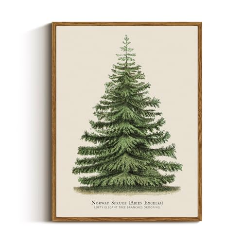 VIYYIEA Vintage Christmas Canvas Art - Winter Botanical Decor