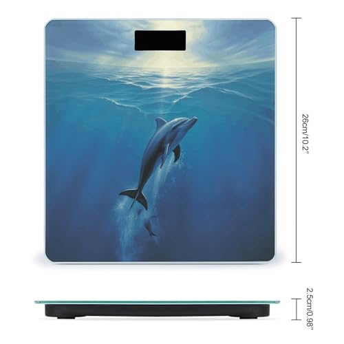 Báscula digital de baño Dolphin in The Ocean con LCD miniatura 2