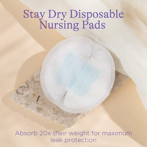 Lansinoh Breastfeeding Essentials For Nursing Moms: Nipple Cream, 48 Nursing Pads, 25 Breastmilk Storage Bags, 2 Hot & Cold Breast Therapy Packs, Silicone Breast Pump, 77 Pieces, Baby Shower Gift #TOP2