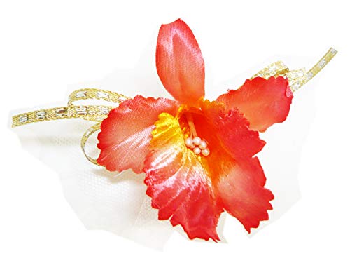 yt@~ADRzJgA1 CS-97 RT[W  RT[W u[` ԏ     w Ǝ Cxg \ Z wZ (bh)