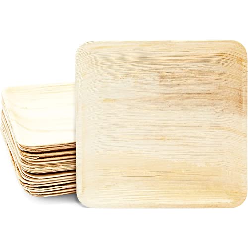 Juvale Square Areca Palm Leaf Plates, Single-Use Party Dinnerware (10 In, 24 Pack) #TOP26