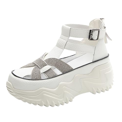[NOLCCTN] Xj[J[ X|[cT_ fB[X T_ 6.5cmgAbv y r ʋC JWAV[Y ₷ Ȃ ėp O ^C (zCg, {̌C̃TCY@, l, l, 23.5 cm)