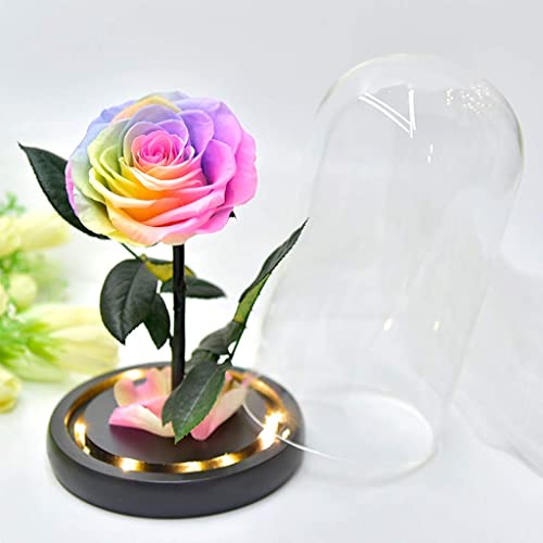 Flores preservadas de rosas eternas em redoma de vidro presente para o Dia dos Namorados, aniversári