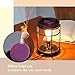 SOLIGT+Cocopin Edison Style Metal Candle Warmer for Wax Cubes Freshener Wax Melter, with 2 Pack Scented Wax