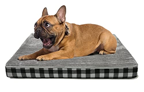 CREASION Doppelseitiges Hundebett – Für Alle Jahreszeiten, Bissfest & Mit Abnehmbarem Bezug