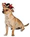 Rubies Costume Company Pirate Girl Hat Pet Costume Accessory, Small/Medium