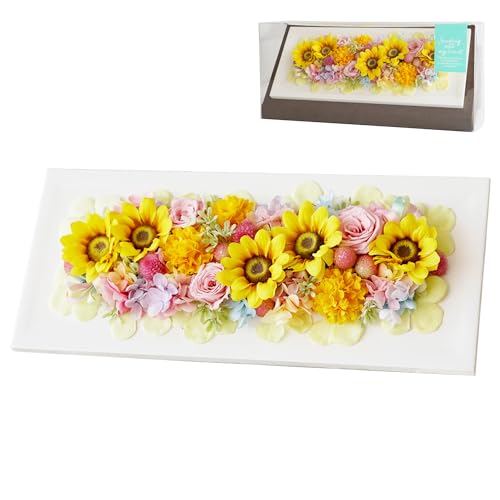 Ԃ܂肩 ybg   vU[uht[ ̋ Ђ܂ {bNX v~A nslX    L dp