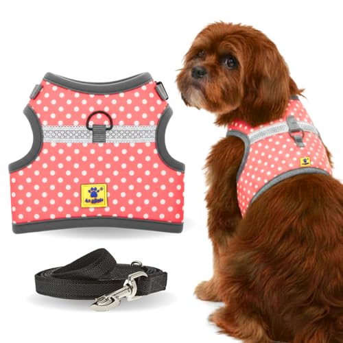 Image of A+a Pets' Retro Vest Harness & Leash Set | No Pull, No Escape, Breathable, Cute Combo for Puppies, Small Dogs, Cats (Polka Pink, XL)