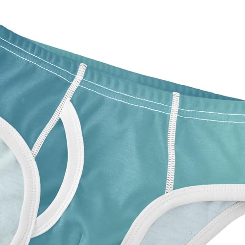 ODAWA Boys Cotton Briefs Underwear Blue Gradient Boys Underwear Cotton 5t Boxer Briefs Boys4