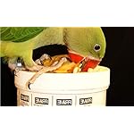 Hagen Prime Parrot Vitamin, Mineral and Amino Acid Supplement for Seed Eating Birds, 1.1 oz - Image 3
