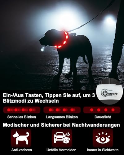Joytale Leuchthalsband Hund USB Aufladbar Hundehalsband Leuchtend für Große Mittel Kleine Hunde und Welpe, Led Halsband mit 3 Modi für Sicherheit, Rot