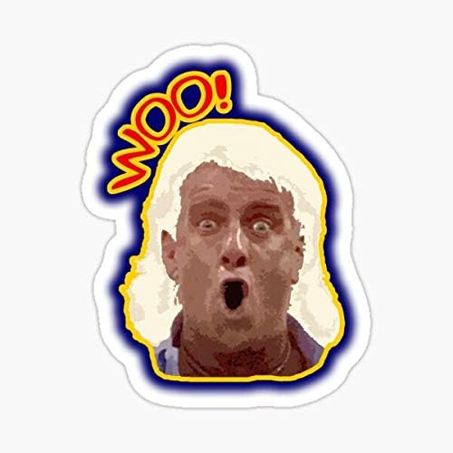 NumbTs- WOO RIC Flair - Legendary Wrestling Quote Old School Inspired Design Sticker - Peel and Stick Sticker - High Resolution