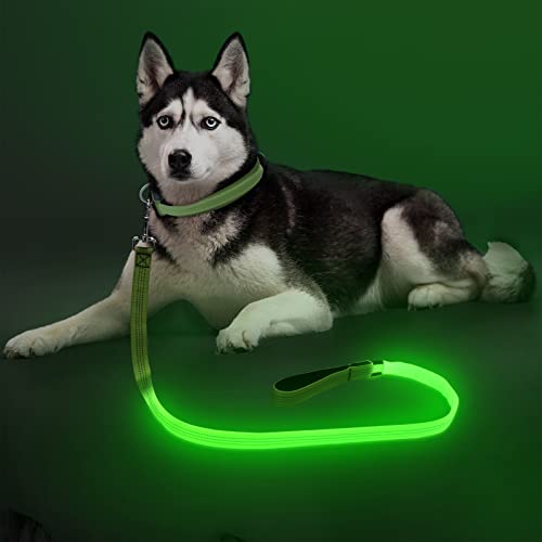 Colaseeme Light Up Dog Leash, LED Pet Leashes USB Rechargeable, Glow Safety Dogs Lights at Night...