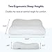 Gel-Infused Contour Memory Foam Pillow for Sleeping - Conform Softly to The Head & Cradles Neck in Comfortable Soft Support, Ergonomic Design Cervical Pillow for All Sleepers, CertiPUR US