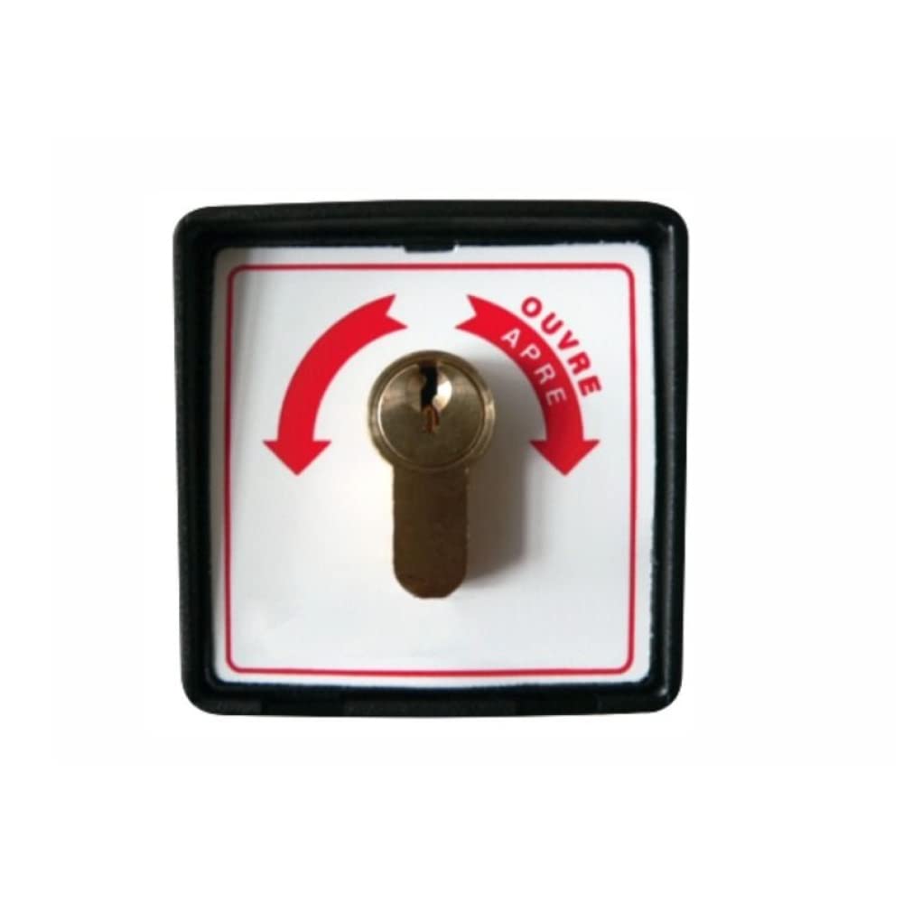 Plastic key selector, outdoor, 2 micro switches - Tecno Automazione SCU2MZT