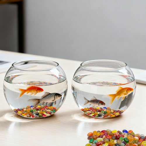 anyuan boy 500g Mélange de Pierres Précieuses, Pierres de 10 mm à 20 mm pour Eenfants, Pierres Colorées Mini Galets pour Décoration, Remplissage de Vase et Aquariums – vue 6