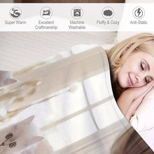 Couverture chat douce flannel pour sieste sur canapé douillet