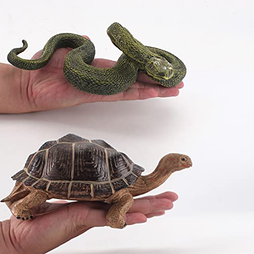 Fantarea 9 Pcs Wild Animal Model Figures Geochelone Tortoise Lizard Chameleon Python Crocodile Komodo Dragon Central Bearded Dragon Figurines Decoration Toys For Childrens #TOP3