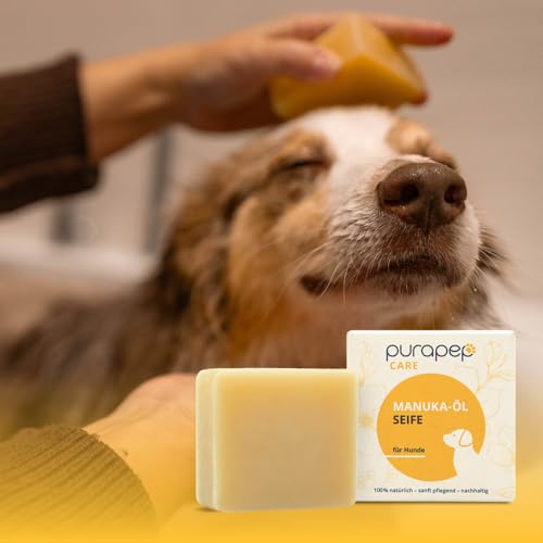 purapep Care Manuka-Öl Hundeseife – Natürliche Reinigung für glänzendes, kuscheliges Fell – Mit Manuka-Öl, Kokos-Öl & Oliven-Öl – Unterstützt empfindliche Haut und lindert Juckreiz – sehr ergiebig!
