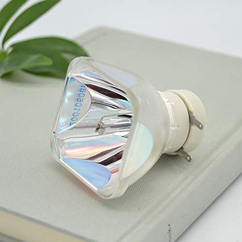 Lampe LMP-E191 pour des soirées cinéma réussies avec VPL-BW7