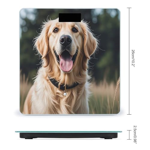 Báscula digital de baño con diseño Golden Retriever miniatura 2