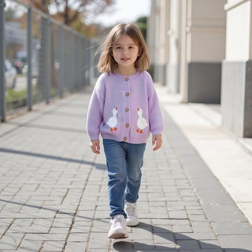 Toddler Girl Boy Fall Knit Cardigan Long Sleeve Button Down Goose Embroidery Warm Winter Sweater Clothes3