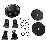 Hypro D252 Pump Repair Kit