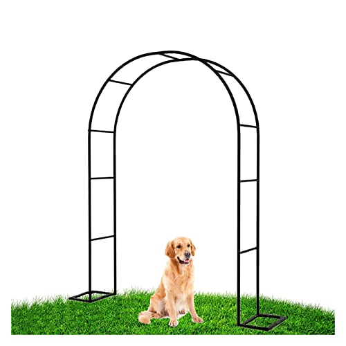 Arche de jardin en métal robuste pour rosiers grimpants et tonnelle de fleurs
