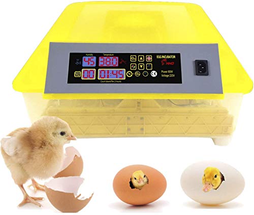 SYue 48 Automatic Egg Turning Incubator Digital Incubator Temperature Humidity Control For Poultry Chicken Hatcher Ducks Goose Birds