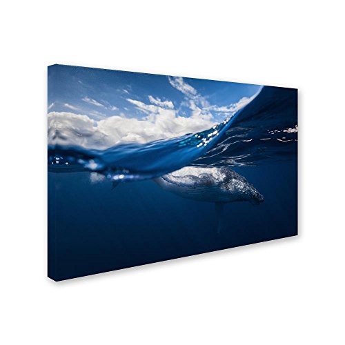 Trademark Fine Art Humpback Whale and the Sky Wall Décor, 22 x 32 by Trademark Fine Art - Image 2