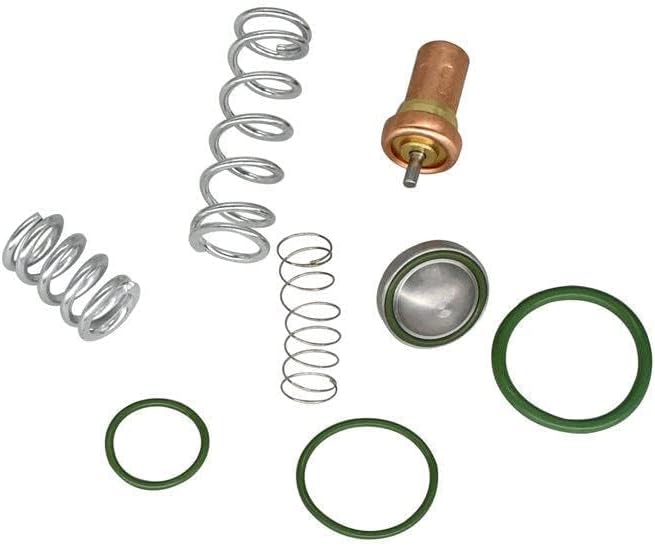Air Compressor Thermostatic Minimum Pressure Valve Repair Kit 2901109500 for Atlas Copco