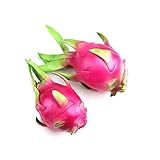 Artificial Dragonfruit Decor | 2 Pack | Faux Fruit Decor | Fake Fruit | Lifelike Realistic Decorative Fruit | Kitchen Decoration | Faux Fruit Bowl Accessories