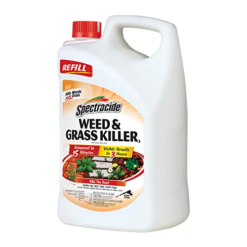 How Long Does Weed Killer Need Before Rain Not Early Not Late Inside