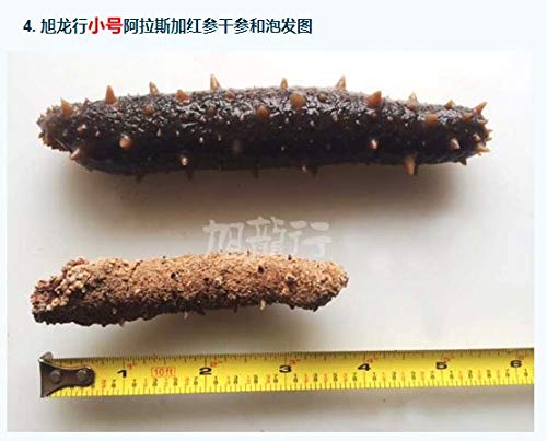 Xlseafood Xxlseafood Premium Sun Dried Alaska Sea Cucumber Sample Pack (2 Pcs Each) 旭龙行淡干海参 阿拉斯加野生红参特级品 试吃装 含2只6年小号参(Sample)… thumb #4