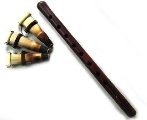 Duduk Armenian Duduk professional Professional with 3 Reeds and Musical Instructions made from Apricot Wood --- Flute Oboe Zurna Mey Balaban