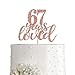 67 Rose Gold Glitter 67 Years Loved Cake Topper, Happy 67th Birthday Party Toppers Decorations, Supplies