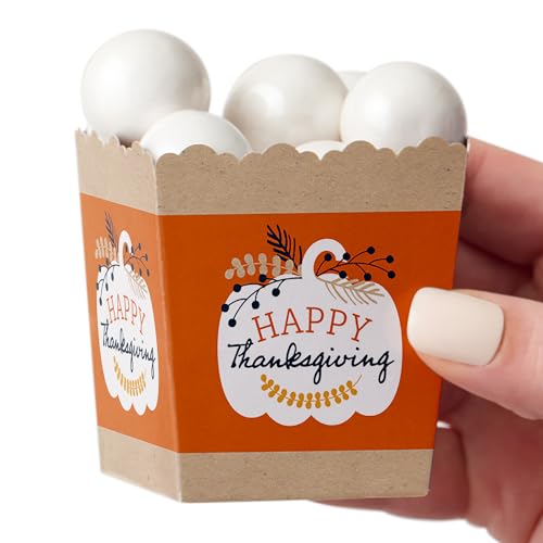 Big Dot of Happiness Happy Thanksgiving - �p�[�e�B�[�~�j�L�O�{�b�N�X - �H�̎��n�p�[�e�B�[ ����� �L�����f�B�{�b�N�X - 12�Z�b�g