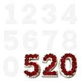 8 Inch Large Size Number Cake Molds Baking Forms Moulds, 9 Pieces 0-8 Cake Number Stencils Flat Plastic Cakes Cutting Numbers Mold Reusable Numerical Stencils for DIY Numbers Cakes Cookies(8 Inch)