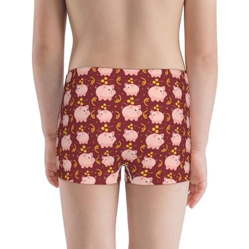Boys' Cotton Boxer Brief Soft Underwear-Cute Pig With Coins3