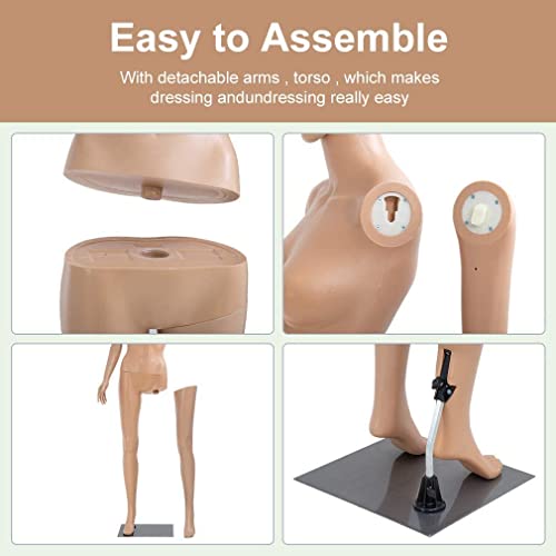Fll Mannequin Torso, Clothing Form Full Body Manikin Female 69 Inch Adjustable Detachable Stand Realistic Display With Metal Base Plastic Head Arm Turns Stand, Beige (Fll-01) #TOP3