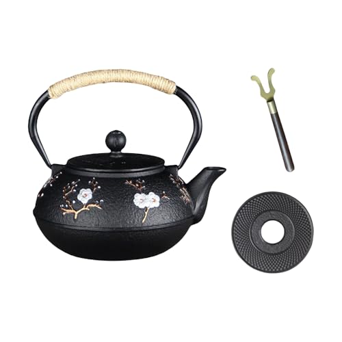 Sr S ~ }{ Sr S⋋  イ S NICE FIVE (800mlA)