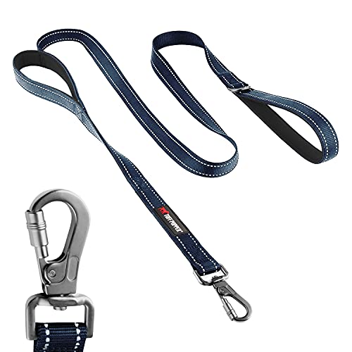 Top 10 Safety Leash For Dogs of 2022 Katynel