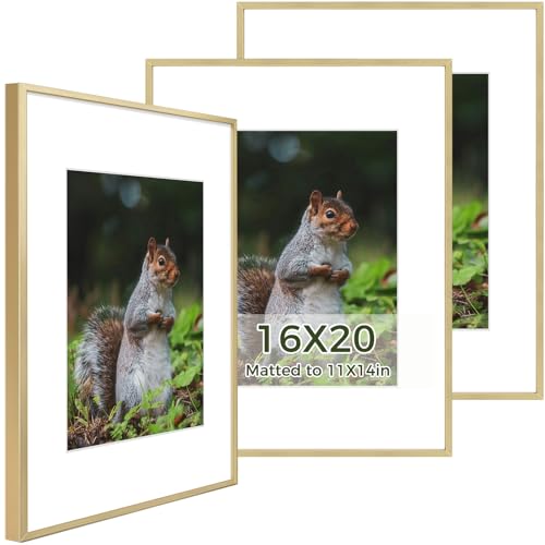 Golden State Art 16x20 Picture Frame 3 Pack - Aluminum Frames with 11x14 Removable Mats & Real Glass, Display 16x20 Posters or 11x14 Photos - Gold Gallery Wall Frames for Home Office Decor