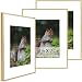 Golden State Art, Set of 3,Metal Wall Photo Frame Collection, Aluminum Gold Photo Frame with Ivory Color Mat for Picture & Real Glass (16 x 20) (3)
