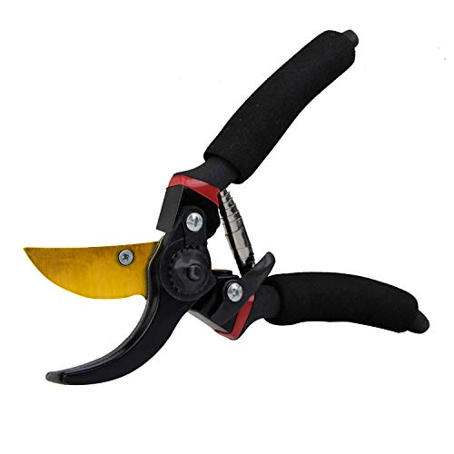 EONLION Pruning Shears, 8 Inch Professional Sharp Bypass Garden Shears, Hand Pruner, Tree Trimmers Secateurs, Clippers, High-Carbon Steel, Premium Titanium