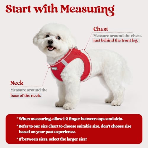 Image of rabbitgoo Dog Harness Small Sized and Leash Set, Step-in Puppy Pet Vest